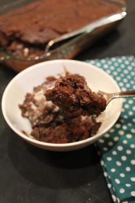 Martha's Chocolate Pudding Cake - Lynn's Kitchen Adventures