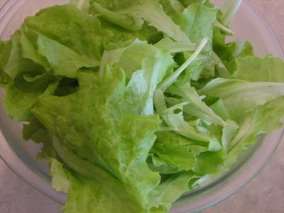 Garden Fresh Lettuce - Lynn's Kitchen Adventures