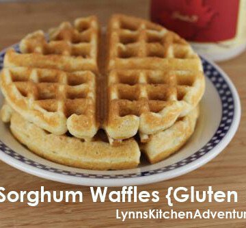 gluten free sorghum waffles