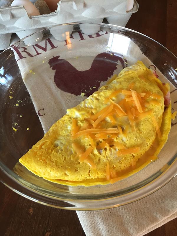 https://www.lynnskitchenadventures.com/wp-content/uploads/2018/04/Bacon-and-Cheese-Microwave-Omelet-2.jpg