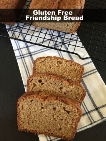 Gluten Free Friendship Bread