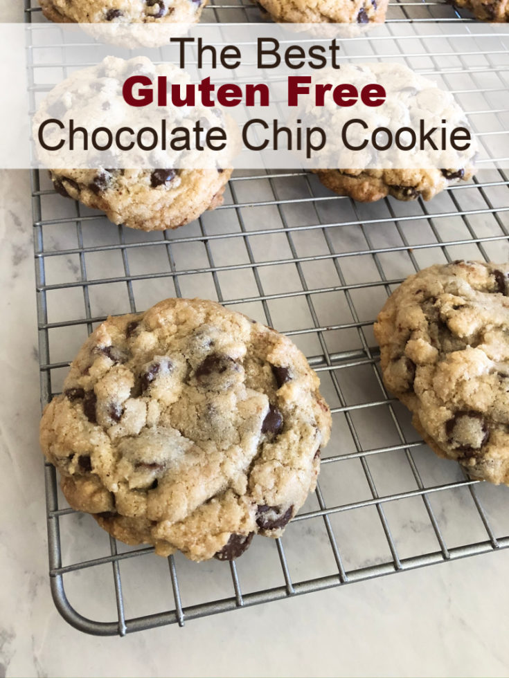 https://www.lynnskitchenadventures.com/wp-content/uploads/2020/01/The-Best-Gluten-Free-Chocolate-Chip-Cookie-Recipe-735x980.jpg