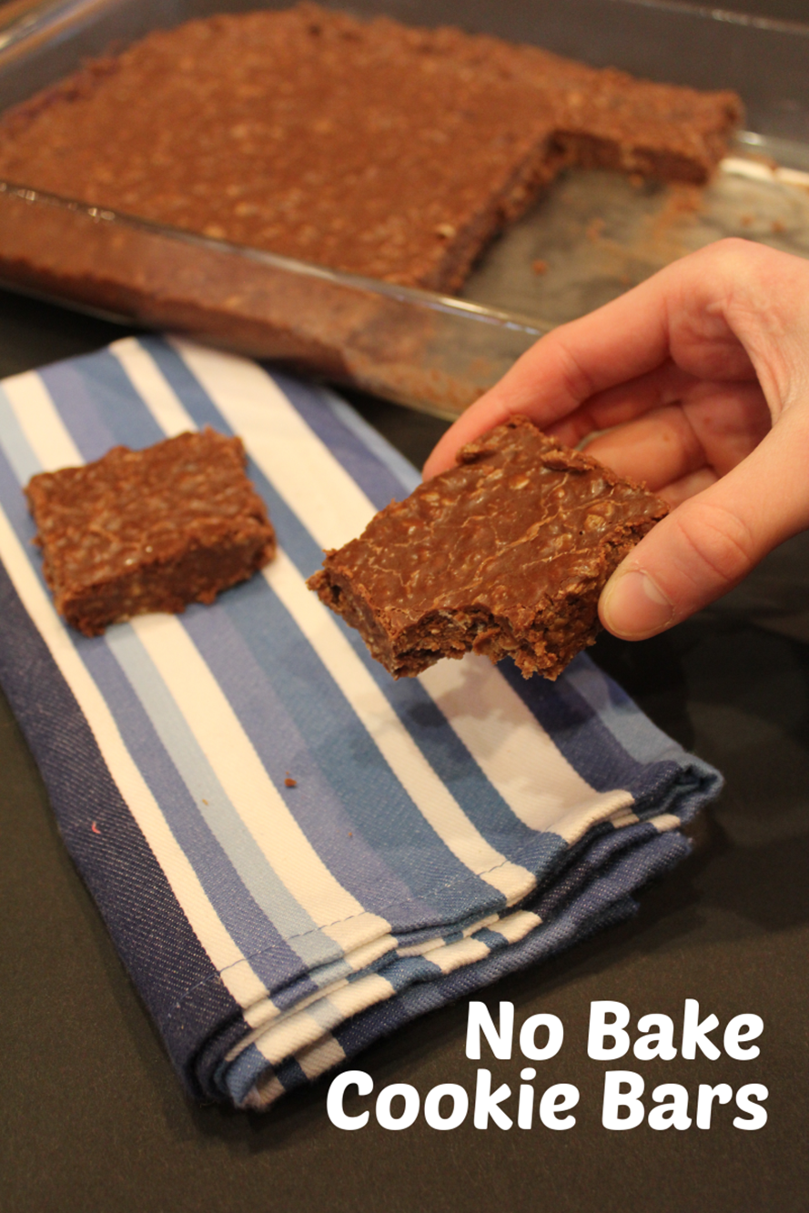 https://www.lynnskitchenadventures.com/wp-content/uploads/2023/06/No-Bake-Cookie-Bar-Recipe.png