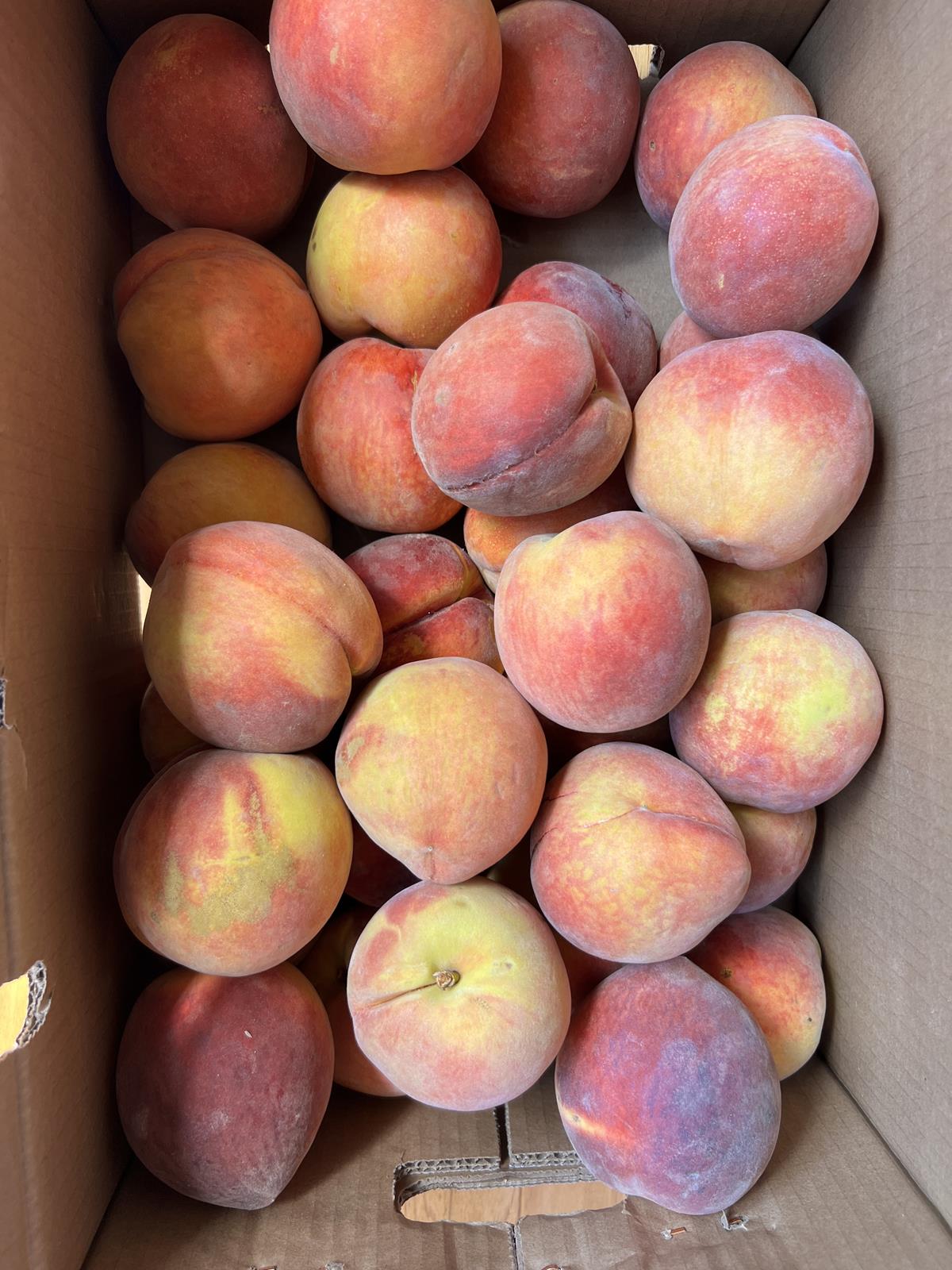 fresh peaches in a box